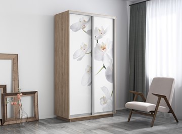 Шкаф 2-дверный Экспресс 1200x600x2200, Орхидея белая/дуб сонома в Магадане - предосмотр 3