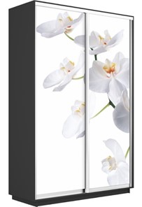Шкаф-купе 2-х дверный Экспресс 1200x600x2400, Орхидея белая/серый диамант в Магадане