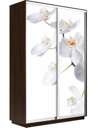 Шкаф-купе Экспресс 1200x600x2400, Орхидея белая/венге в Магадане - изображение