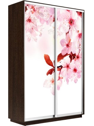 Шкаф 2-х дверный Экспресс 1200x600x2400, Сакура/венге в Магадане - изображение