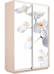 Шкаф 2-х створчатый Экспресс 1400x600x2200, Орхидея белая/дуб молочный в Магадане