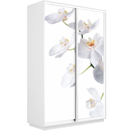 Шкаф 2-створчатый Экспресс 1600x450x2400, Орхидея белая/белый снег в Магадане - изображение