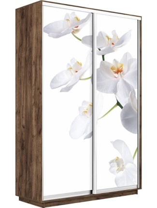 Шкаф 2-дверный Экспресс 1600x450x2400, Орхидея белая/дуб табачный в Магадане - изображение