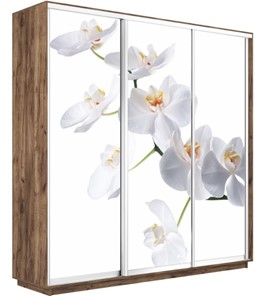 Шкаф 3-створчатый Экспресс 1800х450х2200, Орхидея белая/дуб табачный в Магадане - предосмотр