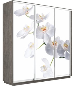 Шкаф 3-х створчатый Экспресс 1800х450х2400, Орхидея белая/бетон в Магадане