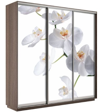 Шкаф 3-створчатый Экспресс 1800х600х2200, Орхидея бела/шимо темный в Магадане - изображение