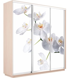 Шкаф 3-х створчатый Экспресс 1800х600х2200, Орхидея белая/дуб молочный в Магадане - предосмотр