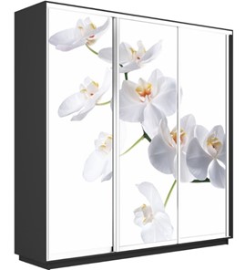 Шкаф 3-х створчатый Экспресс 2100х450х2200, Орхидея белая/серый диамант в Магадане - предосмотр