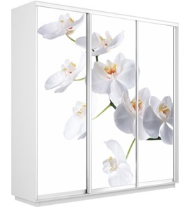 Шкаф Экспресс 2100х450х2400, Орхидея белая/белый снег в Магадане - предосмотр