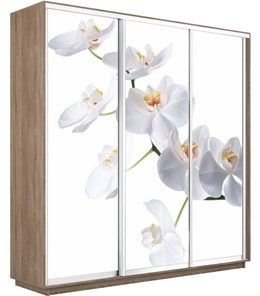 Шкаф 3-дверный Экспресс 2400х450х2200, Орхидея белая/дуб сонома в Магадане - предосмотр