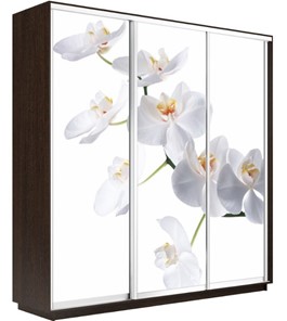 Шкаф 3-х створчатый Экспресс 2400х600х2400, Орхидея белая/венге в Магадане