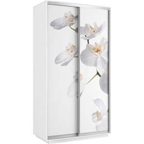 Шкаф Хит 1200x600x2200, белая орхидея, белый снег в Магадане