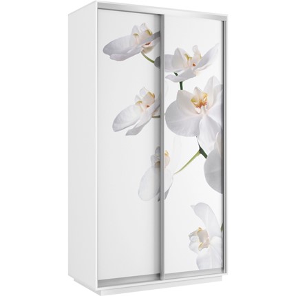 Шкаф Хит 1200x600x2200, белая орхидея, белый снег в Магадане - изображение