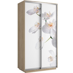 Шкаф 2-х дверный Хит 1200x600x2200, белая орхидея, дуб сонома в Магадане