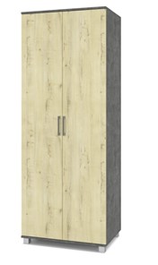 Шкаф 2-дверный Е-20,  Камень темный/Ирландский дуб в Магадане - предосмотр