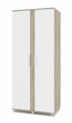 Шкаф 2-дверный П-21, Серый дуб/Белый в Магадане - изображение