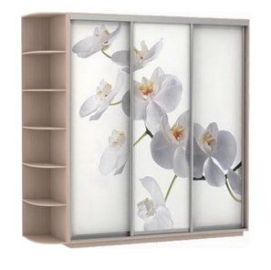 Шкаф Экспресс со стеллажом, 2400х600х2400, Орхидея белая/дуб молочный в Магадане