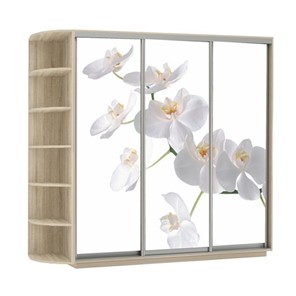 Шкаф 3-х створчатый Экспресс со стеллажом, 2700х600х2400, Орхидея белая/дуб сонома в Магадане