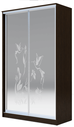 Шкаф-купе 2-х створчатый 2200х1200х420 два зеркала, "Колибри" ХИТ 22-4-12/2-66-03 Венге Аруба в Магадане - изображение