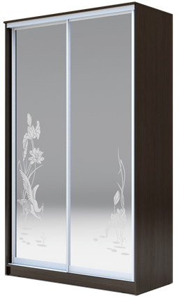 Шкаф двухдверный 2400х1200х620 два зеркала, "Цапли" ХИТ 24-12-66-01 Венге Аруба в Магадане - изображение