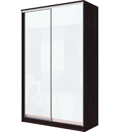 Шкаф 2-х створчатый Хит-22-12-22 с цветным стеклом, белое №10, Венге в Магадане - изображение