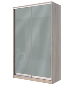 Шкаф 2-х створчатый Хит-22-12-22 с цветным стеклом, средне-серый 074, Дуб сонома в Магадане - предосмотр