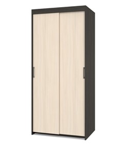 Шкаф 2-х дверный Томас Т21, Дуб млечный/Венге в Магадане - предосмотр