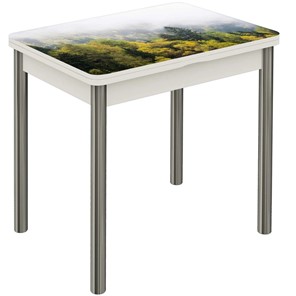 Кухонный раздвижной стол Бари хром №6 (Exclusive h175/белый) в Магадане - предосмотр