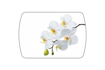Кухонный стол раскладной Танго, белый/орхидея в Магадане - предосмотр 3