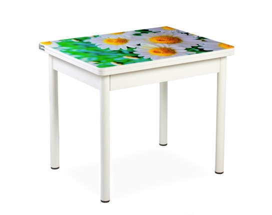 Кухонный пристенный стол СПА-01 СТФ, белый/фотопечать ромашки/опоры прямые белые в Магадане - изображение