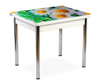 Кухонный пристенный стол СПА-02 СТФ, белый/фотопечать ромашки/опоры хром в Магадане