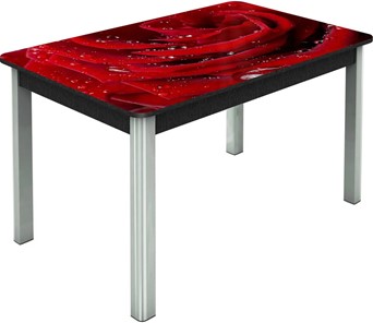 Кухонный раздвижной стол Гамбург исп. Мини, ноги метал. крашеные №23, Фотопечать (Цветы №39) в Магадане