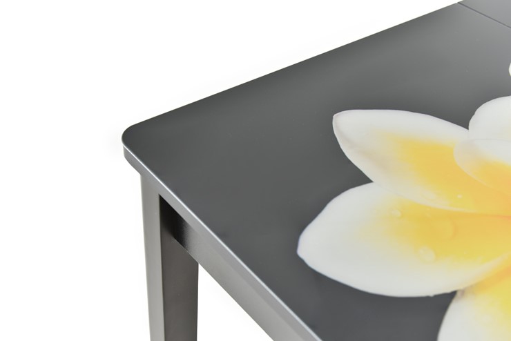 Кухонный раздвижной стол Гамбург исп. Мини, ноги метал. крашеные №23, Фотопечать (Вода №8) в Магадане - изображение 9