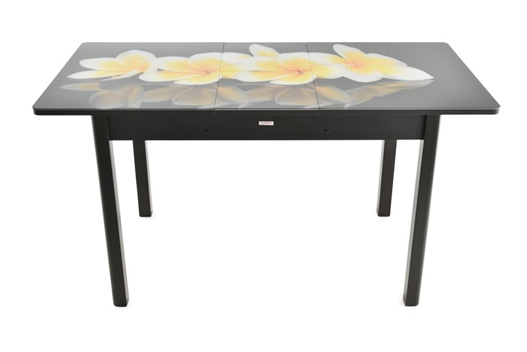 Кухонный раскладной стол Гамбург исп.2 ноги метал. крашеные №23, Фотопечать (Цветы №28) в Магадане - изображение 7