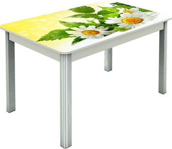 Кухонный раздвижной стол Гамбург исп.2 ноги метал. крашеные №23, Фотопечать (Цветы №3) в Магадане