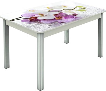 Кухонный стол раскладной Гамбург исп.2 ноги метал. крашеные №23, Фотопечать (Цветы №44) в Магадане