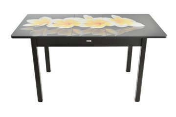 Кухонный стол раздвижной Гамбург Мини, ноги метал. крашеные №23 (Exclusive h197/венге) в Магадане - предосмотр 8