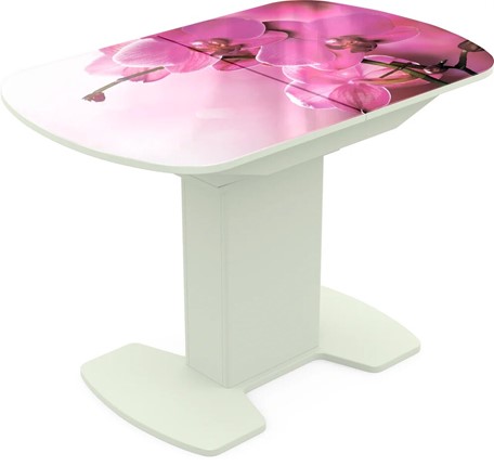 Кухонный раскладной стол Корсика исп. 2 Фотопечать (Цветы №16) 1200(1515)*800 в Магадане - изображение