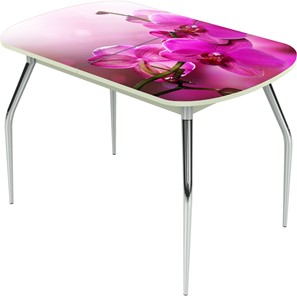 Кухонный раздвижной стол Ривьера исп.1 ноги метал. крашеные №24 Фотопечать (Цветы №16) в Магадане
