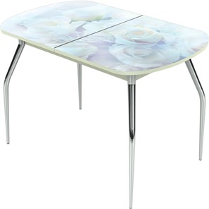 Кухонный раскладной стол Ривьера исп.1 ноги метал. крашеные №24 Фотопечать (Цветы №36) в Магадане