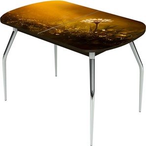Кухонный раскладной стол Ривьера исп.1 ноги метал. крашеные №24 Фотопечать (Цветы №43) в Магадане