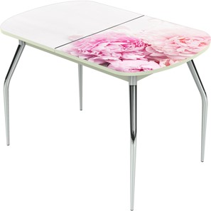 Кухонный раздвижной стол Ривьера исп.1 ноги метал. крашеные №24 Фотопечать (Цветы №49) в Магадане