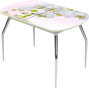 Раздвижной стол Ривьера исп.1 ноги метал. крашеные №24 Фотопечать (Цветы №7) в Магадане