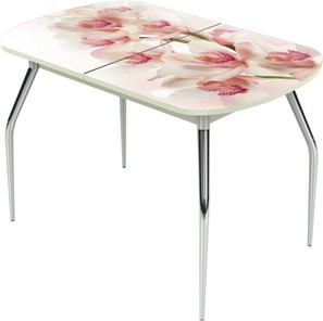 Кухонный раскладной стол Ривьера исп.1 ноги метал. крашеные №24 Фотопечать (Цветы №8) в Магадане