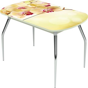 Кухонный раскладной стол Ривьера исп.2 ноги метал. крашеные №24 Фотопечать (Цветы №4) в Магадане
