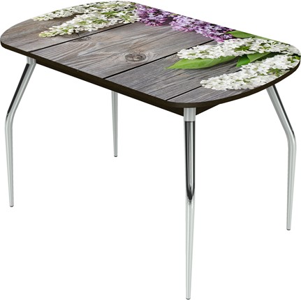 Кухонный раздвижной стол Ривьера исп.2 ноги метал. крашеные №24 Фотопечать (Дерево №2) в Магадане - изображение