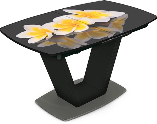Обеденный раздвижной стол Севилья Фотопечать (Цветы №11) в Магадане - изображение