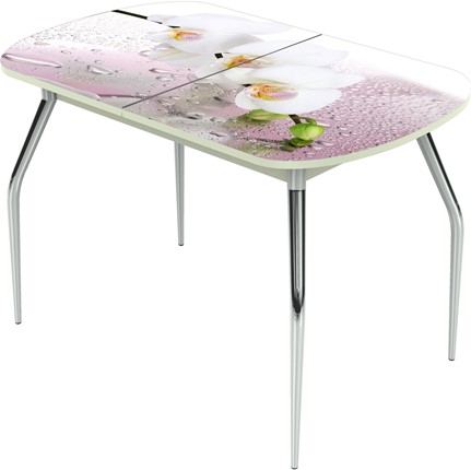Кухонный стол раскладной Ривьера исп.1 ноги хром №5 Фотопечать (Цветы №20) в Магадане - изображение
