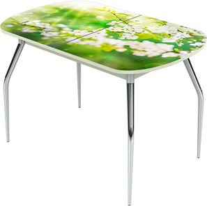 Обеденный раздвижной стол Ривьера исп.1 ноги хром №5 Фотопечать (Цветы №45) в Магадане