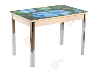 Кухонный стол раздвижной Айсберг-01 СТФ, дуб/фотопечать фиалка/ноги хром квадратные в Магадане